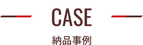 Case